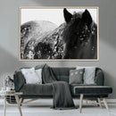 Black Horse in Snow Canvas Print | Winter Horse Wall Art |