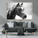 Horse Canvas Print - Winter Horse Snow Wall Art Canvas Print by MyGreatCanvas | Canvas Wall Art Prints | Photo Prints & Wall Decor