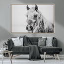 White Horse Wall Art | Ready to Hang and Framed | Winter