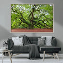 Framed Angel Oak Tree Wall Art - 3-Panel Canvas Prints,