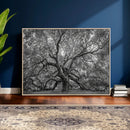 Majestic Angel Oak Tree Black and White Canvas Print – Multi by MyGreatCanvas | Canvas Wall Art Prints | Photo Prints & Wall Decor
