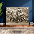 Sepia Framed Angel Oak Tree Wall Art - 3-Panel Canvas