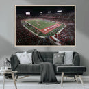 Houston Cougars Football Team Print - Houston TDECU Stadium