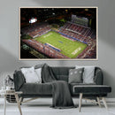 Florida Atlantic University Owls Canvas Print, Football Team by MyGreatCanvas | Canvas Wall Art Prints | Photo Prints & Wall Decor