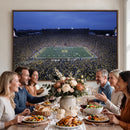 University of Michigan Wolverines Football Team Print - Ann