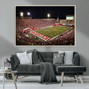Indiana University Hoosiers Football Team Print Canvas