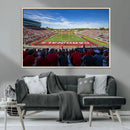 Ball State Cardinals Football Team Print - Muncie Scheumann