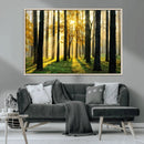 Sunlit Forest Wall Art Canvas Print – Large Framed Woodland