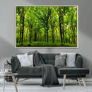 Lush Green Forest Canvas Print | 3-Panel Forest Wall Art | by MyGreatCanvas | Canvas Wall Art Prints | Photo Prints & Wall Decor