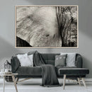 Elephant Wall Art Canvas Print