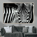 Zebra Wall Art – Zebra Close Up Wall Art – Framed Black by MyGreatCanvas | Canvas Wall Art Prints | Photo Prints & Wall Decor