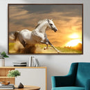 Large Wall Art Galloping White Horse at Sunset Canvas Print