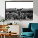 Black and White Highland Cow Canvas Wall Art, Longhorn by MyGreatCanvas | Canvas Wall Art Prints | Photo Prints & Wall Decor