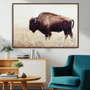 Bison in Field Wall Art Canvas Print For Farmhouse Barn