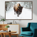 Bison Wall Art Canvas Print For Farmhouse, Animal Canvas
