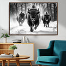 Buffalo Wall Art Canvas Print, Bison Family Wall Art Canvas by MyGreatCanvas | Canvas Wall Art Prints | Photo Prints & Wall Decor
