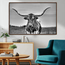 Texas Longhorn Cow Wall Art, Texas Longhorn Canvas, Cattle