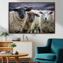 Charming Sheep Portrait Wall Art – Trio of Woolly Companions by MyGreatCanvas | Canvas Wall Art Prints | Photo Prints & Wall Decor
