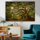 Ancient Angel Oak Tree Art Sunburst Canvas Print-