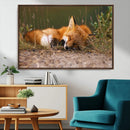 Sleeping Fox Wall Art Canvas Print, Farmhouse Wall Decor and