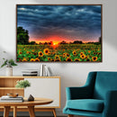 Golden Sunflower Field at Sunset – Breathtaking Sky and