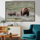 Wildlife Photography of 399 Grizzly Bear Cubs | Queen of the