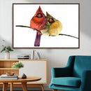 Cardinal Bird Canvas Wall Art - Male and Female Cardinal