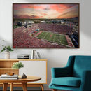 Indiana Memorial Stadium Wall Art Canvas Print, Framed