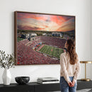 Indiana Memorial Stadium Wall Art Canvas Print, Framed