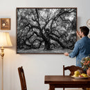Black and White Old Angel Oak Tree Wall Art Canvas Print