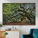Historic Tree Wall Art – Framed Mossy Branch Canvas Artwork, by MyGreatCanvas | Canvas Wall Art Prints | Photo Prints & Wall Decor