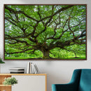 Ancient Tree Wall Art Canvas Print, Framed Sprawling by MyGreatCanvas | Canvas Wall Art Prints | Photo Prints & Wall Decor