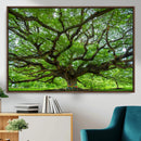 Angel Oak Tree Wall Art Canvas Print – Framed Majestic