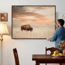 MyCanvas -