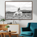 White Horse Wall Art Canvas Print – Framed Woman Rider