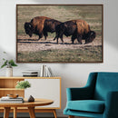 Bison Wall Art Canvas Print – Framed Western Wildlife Modern by MyGreatCanvas | Canvas Wall Art Prints | Photo Prints & Wall Decor