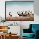 Elk Herd Wall Art Canvas Print – Framed Wildlife Photography
