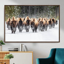 Bison Herd Scene Wall Art Canvas Print – Framed Western by MyGreatCanvas | Canvas Wall Art Prints | Photo Prints & Wall Decor