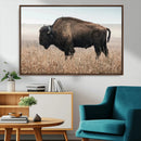 American Bison Wall Art Canvas Print – Majestic Buffalo