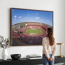 William Brice Stadium Wall Art Canvas Print – Stadium Crowd
