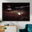 William Brice Stadium Wall Art Print – Baseball Game Room by MyGreatCanvas | Canvas Wall Art Prints | Photo Prints & Wall Decor