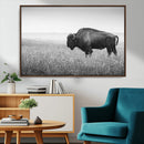 Black White Bison Canvas Wall Art, Rustic American Buffalo by MyGreatCanvas | Canvas Wall Art Prints | Photo Prints & Wall Decor