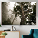 Misty Forest Tall Trees Foggy Atmosphere Nature Serenity by MyGreatCanvas | Canvas Wall Art Prints | Photo Prints & Wall Decor