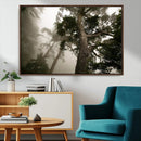 Misty Forest Wall Art Canvas Print, Tall Trees and Foggy by MyGreatCanvas | Canvas Wall Art Prints | Photo Prints & Wall Decor