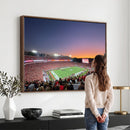 Dooley Stadium Wall Art, Sports Arena Canvas Print, Dooley