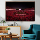 Dooley Stadium Wall Art, Sports Arena Canvas Print, Dooley by MyGreatCanvas | Canvas Wall Art Prints | Photo Prints & Wall Decor