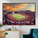 Dooley Stadium Wall Art, Sports Arena Canvas Print, Dooley by MyGreatCanvas | Canvas Wall Art Prints | Photo Prints & Wall Decor