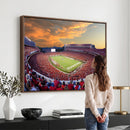 Dooley Stadium Wall Art, Sports Arena Canvas Print, Dooley