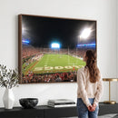 Dooley Stadium Wall Art, Sports Arena Panoramic Canvas