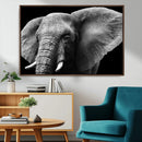 Big Elephant Close Up Wall Art Canvas Print